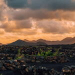 Lanzarote: Sunset vineyard tour with wine and chocolate tasting - FAQs