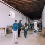 Lanzarote: Vineyard Tour & Wine Tasting with Cheese - Why This Tour Offers Good Value