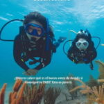 Lanzarote Your First Scuba Diving Experience - The Experience Details