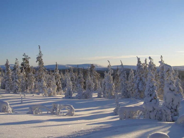 Lapland: A Day at a Traditional Log Cabin & Snowshoe Trek - Practical Details and What to Know