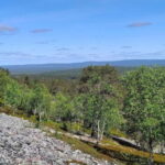 Lapland: Guided Hiking Tour in the Pristine Nature in Luosto - Who Will Enjoy This Tour?