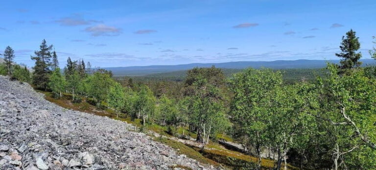 Lapland: Guided Hiking Tour in the Pristine Nature in Luosto - Who Will Enjoy This Tour?