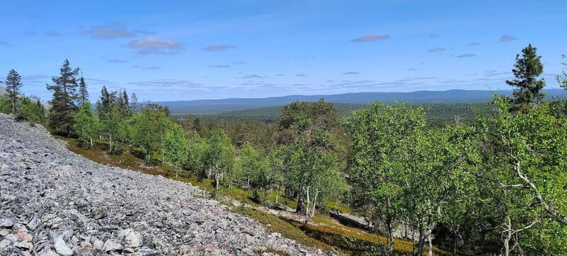 Lapland: Guided Hiking Tour in the Pristine Nature in Luosto - Who Will Enjoy This Tour?