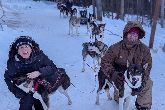 Large Groups for Mushing Activity - Who Will Love This Experience?