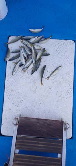 Larnaca: Private Fishing - Traditional Explorer N Vessel - What to Expect from the Private Fishing Trip