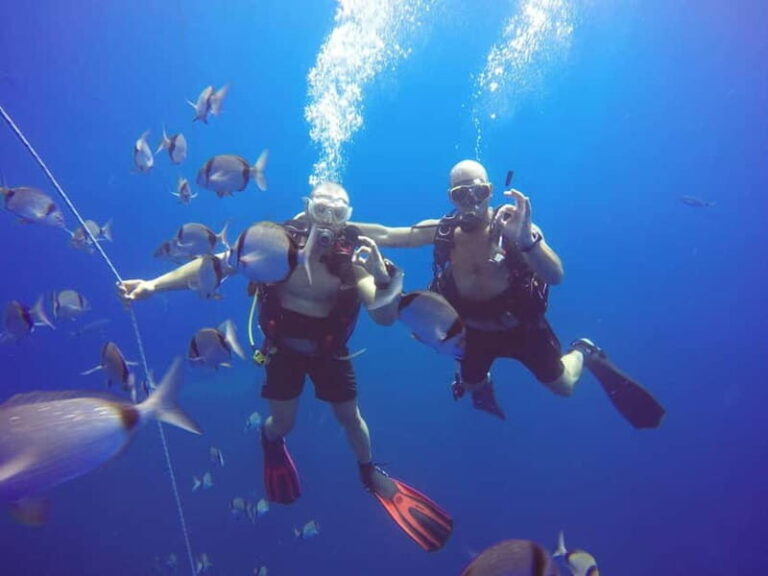 Larnaca: Private Zenobia Beginners Divers - The Experience Guides and Their Role  