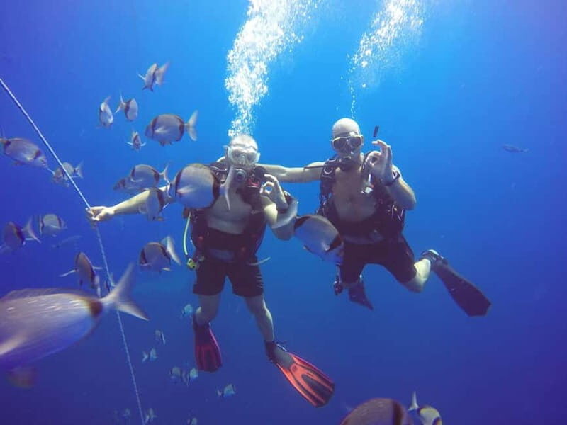 Larnaca: Private Zenobia Beginners Divers - The Experience Guides and Their Role