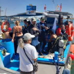 Larnaca: Snorkelling Zenobia Wreck Plus Mini Cruise - The Itinerary Breakdown