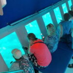 Larnaca: Yellow Submarine Mini Cruise with a Swim Stop - Who Will Love This Tour?
