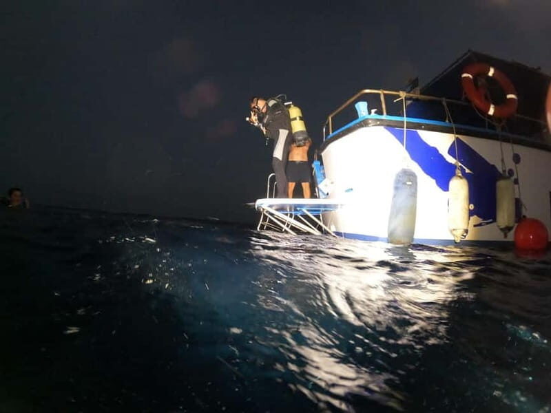 Larnaca: Zenobia Wreck Night Dive Certification With SSI - Why Choose the Larnaca Zenobia Wreck Night Dive?