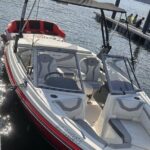 Larson Boat Rental - Authentic Insights from Reviews