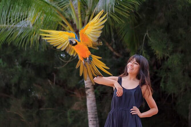 Las Caletas The Best Kept Secret of Puerto Vallarta - Practical Details and Tips for the Tour