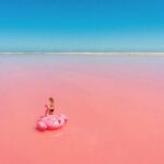 Las Coloradas and Rio Lagartos Day Tour from Cancun - Authentic Experiences and Hidden Gems