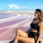 Las Coloradas and Rio Lagartos Pink Lagoon and Wildlife Adventure - Who Should Consider This Tour?