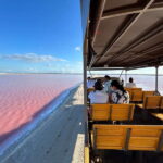 Las Coloradas: Pink Lakes Safari Tour - Who Will Love This Tour?