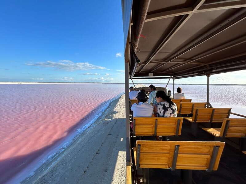 Las Coloradas: Pink Lakes Safari Tour - Who Will Love This Tour?