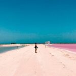 Las Coloradas & Rio Lagartos, Beautiful Eco Adventure from Tulum City - Authentic Experiences & Reviewer Insights
