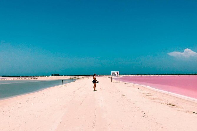 Las Coloradas & Rio Lagartos, Beautiful Eco Adventure from Tulum City - Authentic Experiences & Reviewer Insights