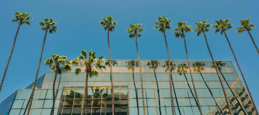 LAs Timeless Treasures: A Downtown Discovery Private Tour - Hidden Gems and Local Secrets