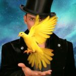 Las Vegas: Allstars Of Magic - Deep Dive into the Experience