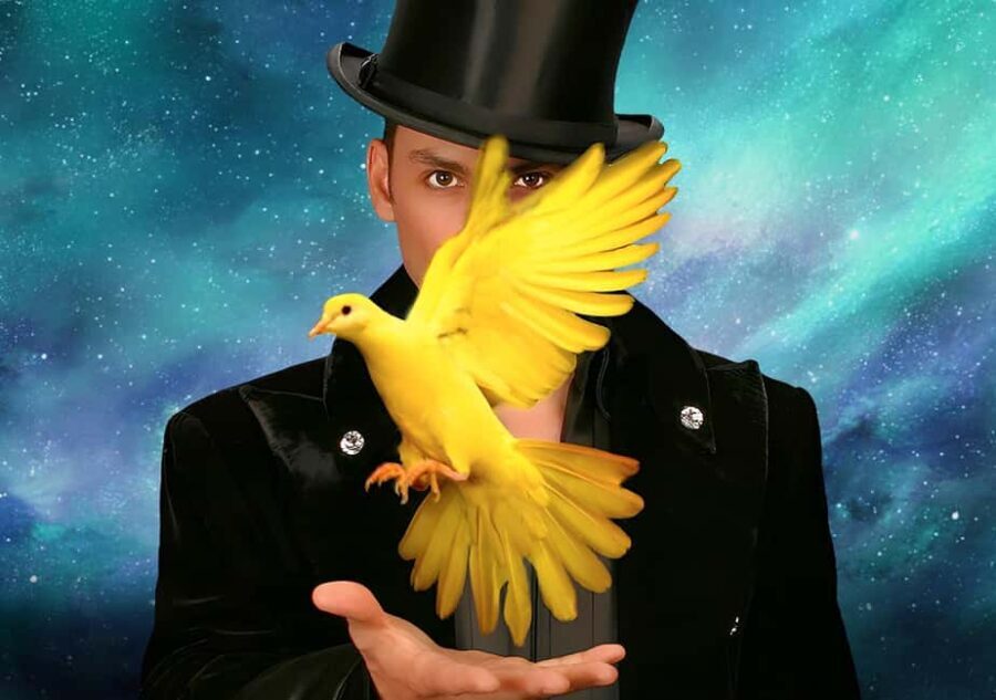 Las Vegas: Allstars Of Magic - Deep Dive into the Experience