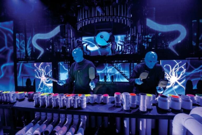 Las Vegas: Blue Man Group VIP Experience - Why This Experience Offers Great Value