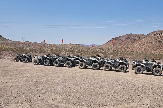 Las Vegas Desert Buggy & ATV Tour with Pickup - Authentic Experiences & Tips from Reviewers