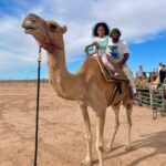 Las Vegas: Desert Camel Ride - The Value of the Experience