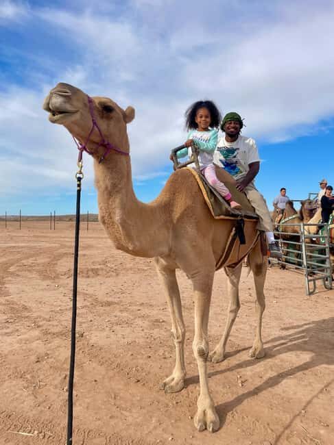 Las Vegas: Desert Camel Ride - The Value of the Experience
