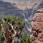 Las Vegas: Grand Canyon West, Hoover Dam & Optional Skywalk - The West Rim of Grand Canyon: Eagle Point & Guano Point