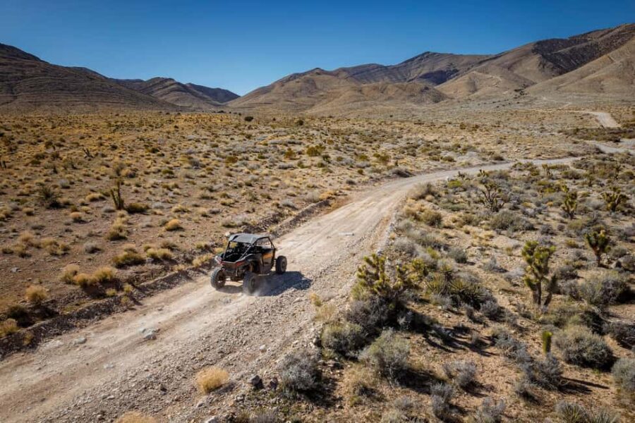 Las Vegas Mojave Off Road Adventure |Guided Tour-Let's Ride! - The Experience: What the Reviews Say
