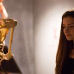 Las Vegas: REAL BODIES at Horseshoe Las Vegas Entry Ticket - Who Should Consider This Experience?