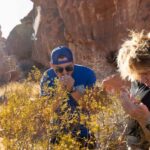 Las Vegas: Valley of Fire and Red Rock Canyon Day Trip - Authentic Traveler Insights and Tips