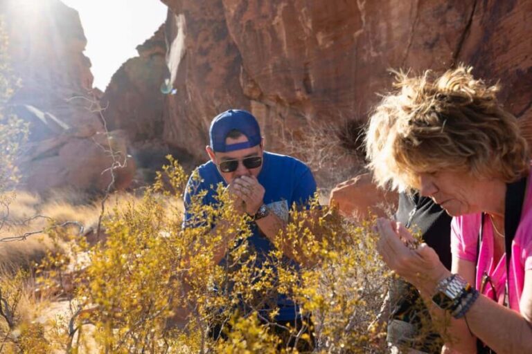 Las Vegas: Valley of Fire and Red Rock Canyon Day Trip - Authentic Traveler Insights and Tips