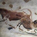 Lascaux IV Visit - Half Day Tour from Sarlat - Transportation and Group Size: Maximizing Comfort and Personal Attention