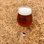 Latvian Brewery Visit & 5 Beer tasting - Who Will Love This Tour?