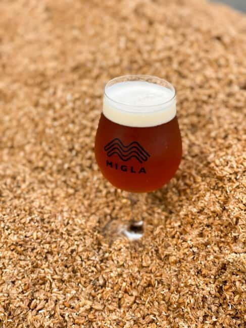 Latvian Brewery Visit & 5 Beer tasting - Who Will Love This Tour?