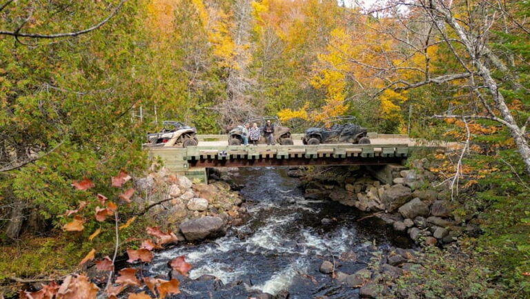 Laurentians: guided buggy tour - Practical Considerations and Tips