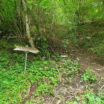 Lauterbrunnen: Private Walking Tour with an Irish Guide - Why This Tour Offers Great Value