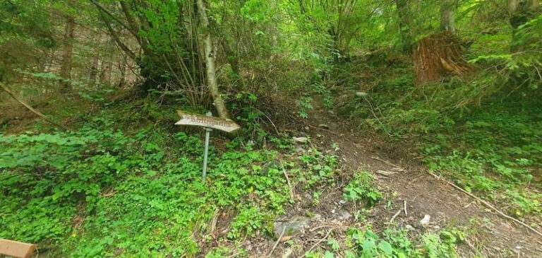 Lauterbrunnen: Private Walking Tour with an Irish Guide - Why This Tour Offers Great Value