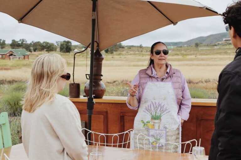 Lavender Experience Valle de Guadalupe - Guided Field Tour - Who Will Love This Tour?