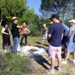 Lavender Field & Distillery Tour between Nimes & Arles - The Meeting and The Route
