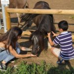 Lazise: Biodynamic Farm Tour and Natural Wine Tasting - Who Will Love This Experience?