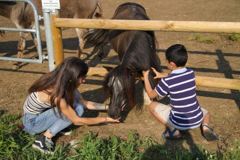 Lazise: Biodynamic Farm Tour and Natural Wine Tasting - Who Will Love This Experience?