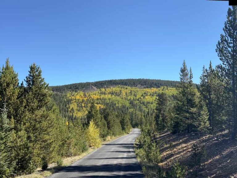 Leadville: 2-Hour Guided E-Bike Tour - Who Should Book This Tour?