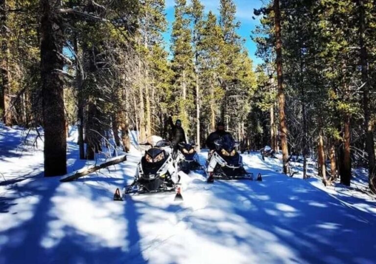 Leadville: Guided Snowmobile High Adventure Tour - What Makes This Snowmobile Tour Special?