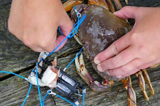 Learn to Catch and Cook Crab under Golden Gate Bridge SF - Authentic Insights from Reviewers