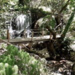 Lefkada: Path of Springs Hike with Olive Oil Tasting - Visiting the Villages of Sivros and Vournikas