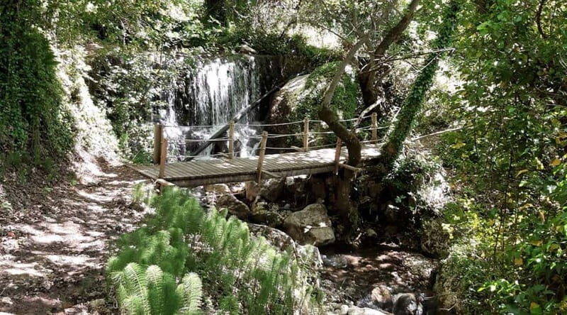 Lefkada: Path of Springs Hike with Olive Oil Tasting - Visiting the Villages of Sivros and Vournikas