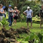 Legends of Hawaii: Oahus Untold Stories - An In-Depth Look at the Tour Experience